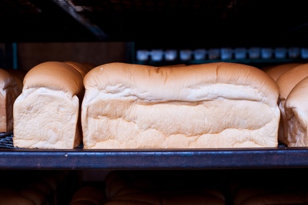 bakery in factoryの写真素材