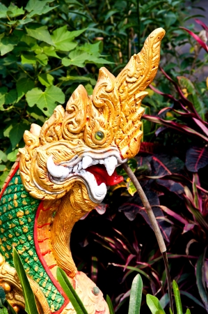 king of naga in thai temple,Chiang Mai,Thailand の写真素材