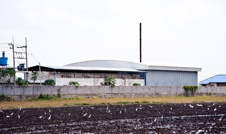 factoryのeditorial素材