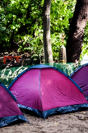 tent in forestの写真素材