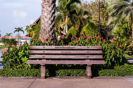 wood chair in gardenの写真素材