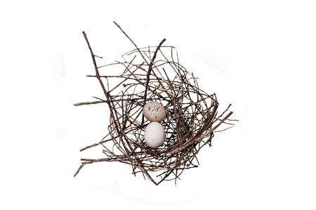 egg birds in netの写真素材