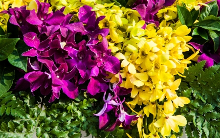 flower in gardenの写真素材