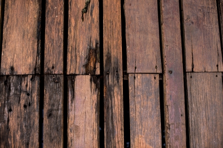 wood backgroundsの写真素材