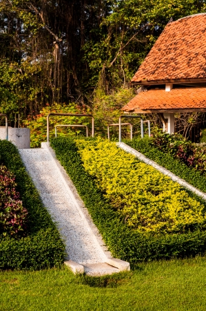 playground in gardenの写真素材