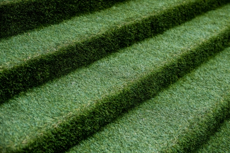 green stairの写真素材