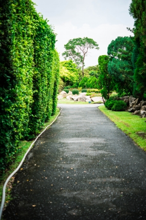 walk way in gardenの写真素材