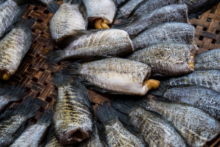 fish in marketの写真素材