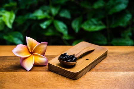 Coffee beans in spoonsの写真素材