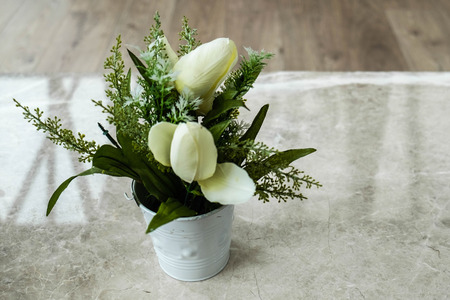 flower in potの写真素材