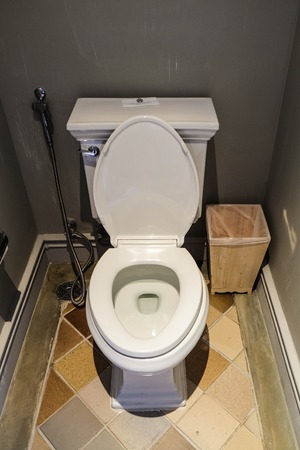 toilet