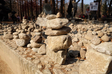 Stone in gardenの写真素材