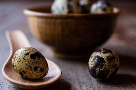 Quail eggs on wood backgroundsの写真素材