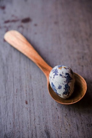 Quail egg on wooden spoonsの写真素材