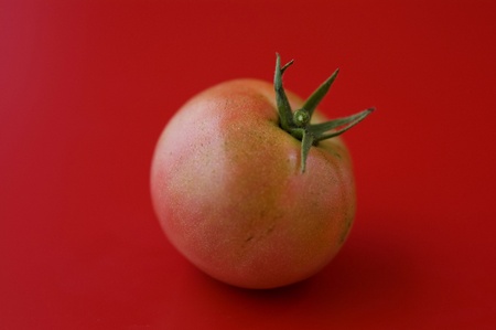 a tomatoe on red backgroundの写真素材