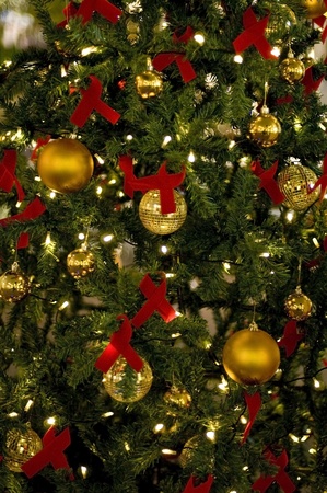 close up of Christmas tree