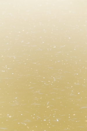 Yellow paper studded with gilt  japanese traditional  craft の写真素材