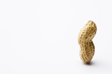 Peanut on white background