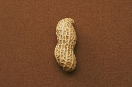 Peanuts with shell on brown background, close-up 