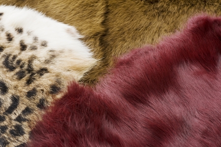 Many kinds of fur fabric texture, background material