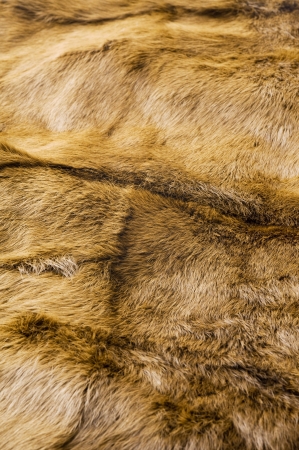 Fluffy fur fabric texture の写真素材