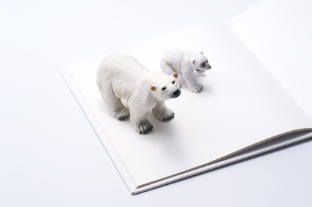 Polar bear family dolls on open blank book の写真素材