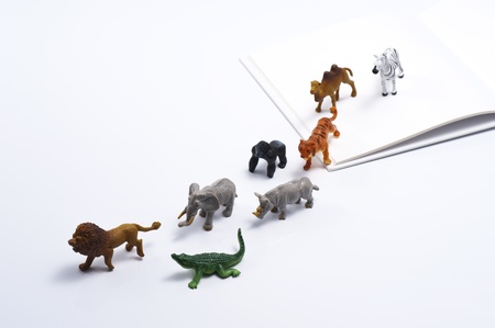 Many kinds of animal toys and open blank book の写真素材