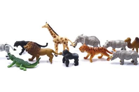 Many kinds of animal toys on white background 