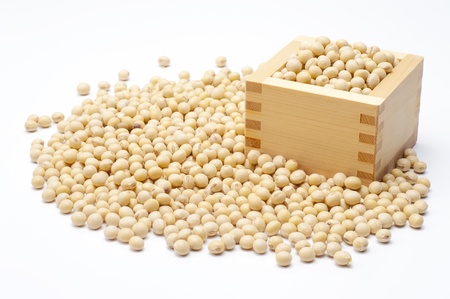 soybeans on a white backgroundの写真素材