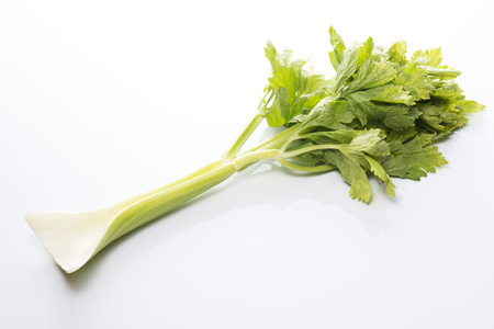 a fresh green celery on white backgroundの写真素材