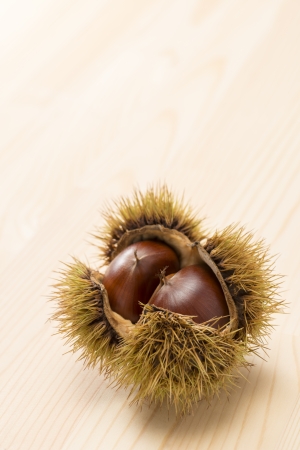 chestnut with husk on wooden tableの写真素材