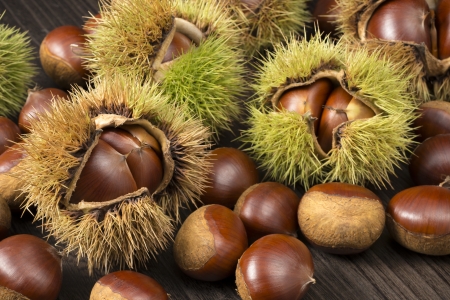 many chestnuts with husk on dark wooden tableの写真素材