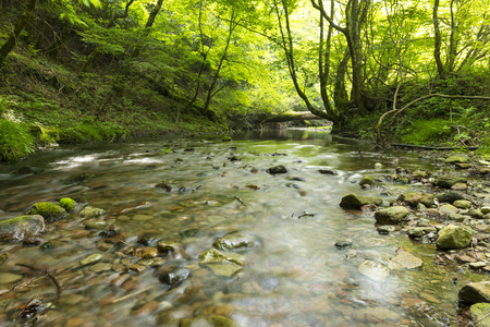 the flow of the river japan oitaprefecture kurodakeの写真素材