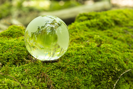 Forest and a transparent globeの写真素材