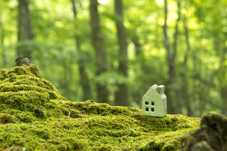 forest and miniature houseの写真素材