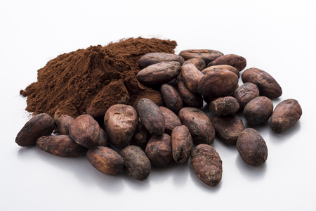 Cocoa powder and cocoa beansの写真素材