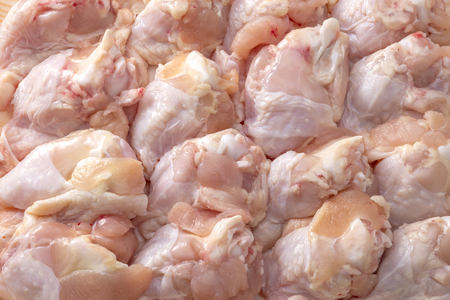 chickenの写真素材