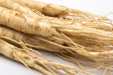 Ginseng rootの写真素材