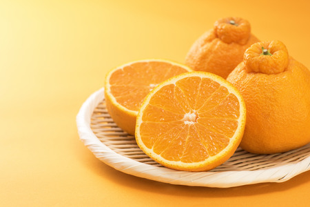 Japanese citrus Dekopon of Siranui, another name is sumo mandarin or sumo citrus.の写真素材
