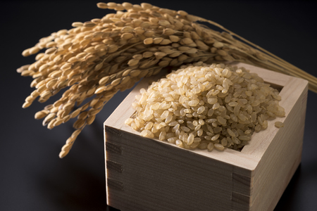 Ear rice and brown riceの写真素材