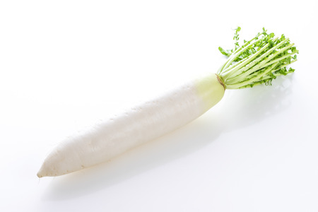 Japanese radish on white backgroundの写真素材