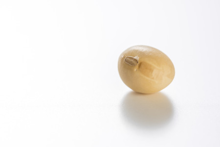 Raw dried soybeans, Organic cultivationの写真素材