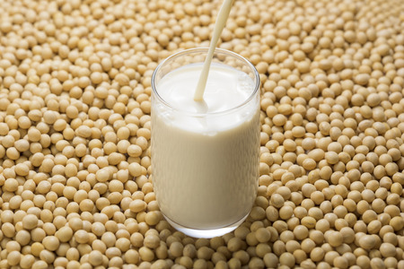 Soymilk is a plant-based drink produced by soybeansの写真素材