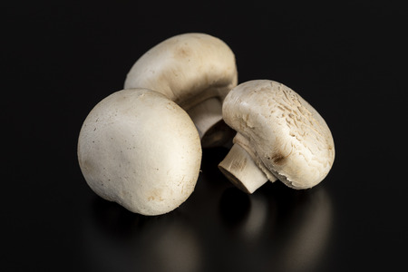 White mushrooms, close-upの写真素材