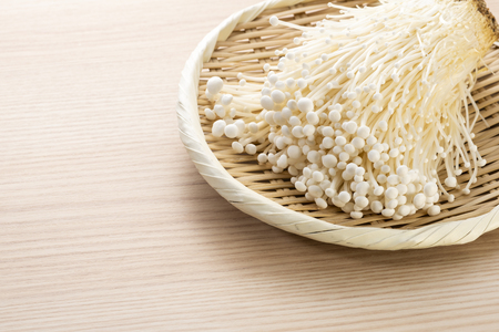 Enokitake, Flammulina velutipesの写真素材