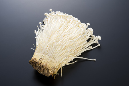 Enokitake, Flammulina velutipesの写真素材