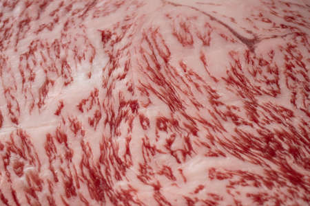 Raw Japanese beef sirloin steakの写真素材