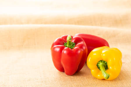 Freshly harvested paprika, fresh vegetables.の写真素材