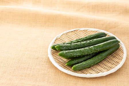 Freshly harvested cucumbers, fresh vegetables.の写真素材