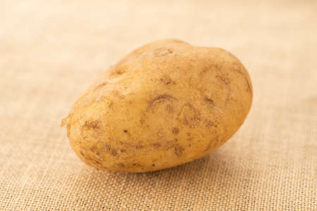 Freshly harvested potatoes, fresh vegetables.の写真素材